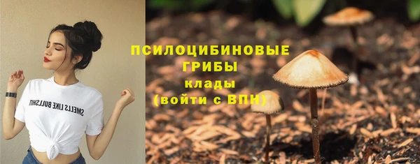 дмт Алексин