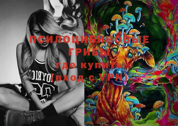 дмт Алексин