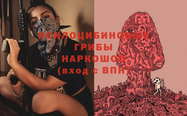 дмт Алексин