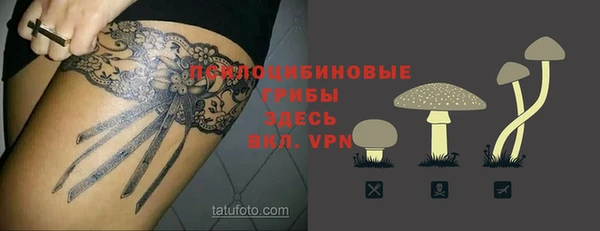 стафф Алзамай