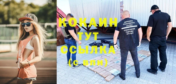 стафф Алзамай
