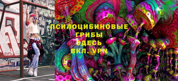 стафф Алзамай