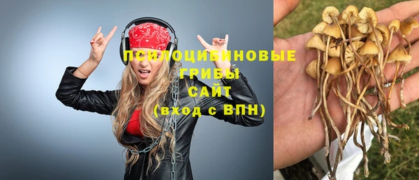 индика Аркадак